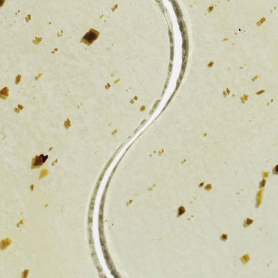 Face Masks & Eyewear Patchology Moodpatch Perk Up Energizing Tea-Infused Aromatherapy Eye Gels, 5 Pairs